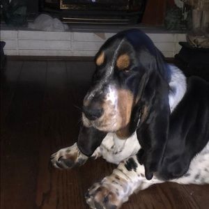 Meet your Posher, Wes